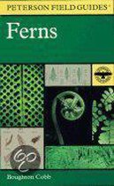 Field Guide To Ferns And Their Related Families