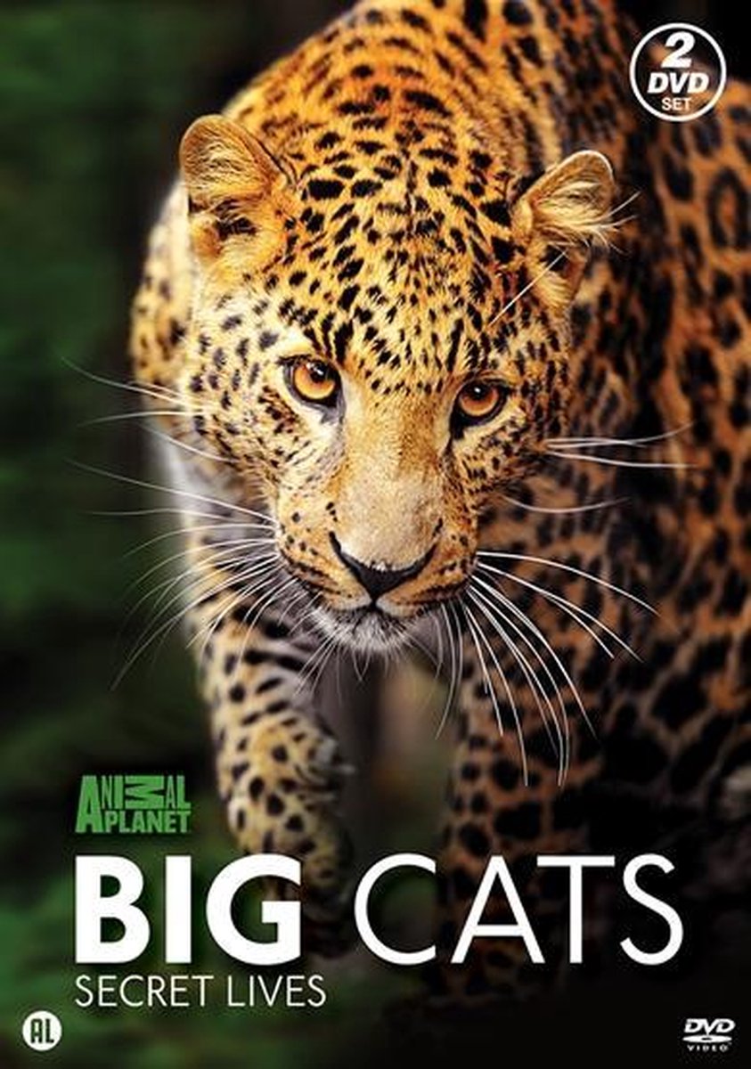 Discovery Channel : Big Cats Secret Lives