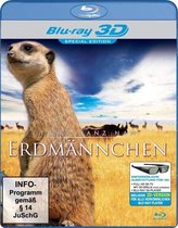 Erdmännchen 3D