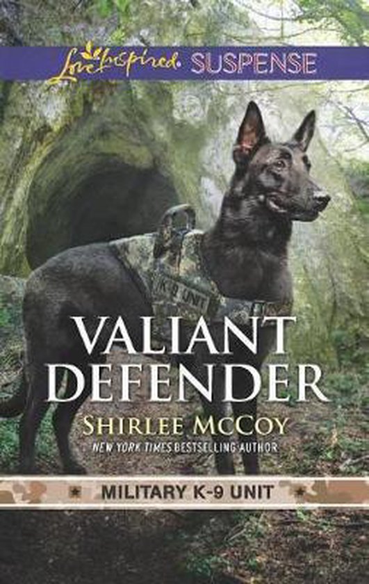Valiant Defender - cover