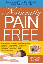 Prevent and Treat Chronic and Acute Pains: NaturallyNaturally Pain Free