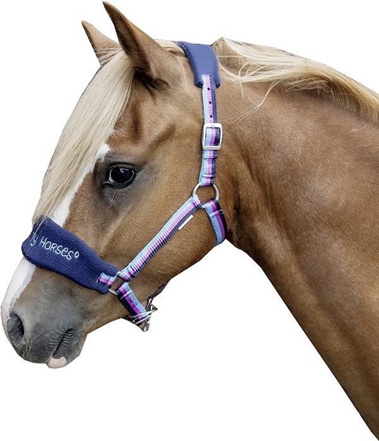 Bruin shetlandpony met een marineblauw halster met roze-blauw gestreepte riemen en 'Funny Horses' tekst.