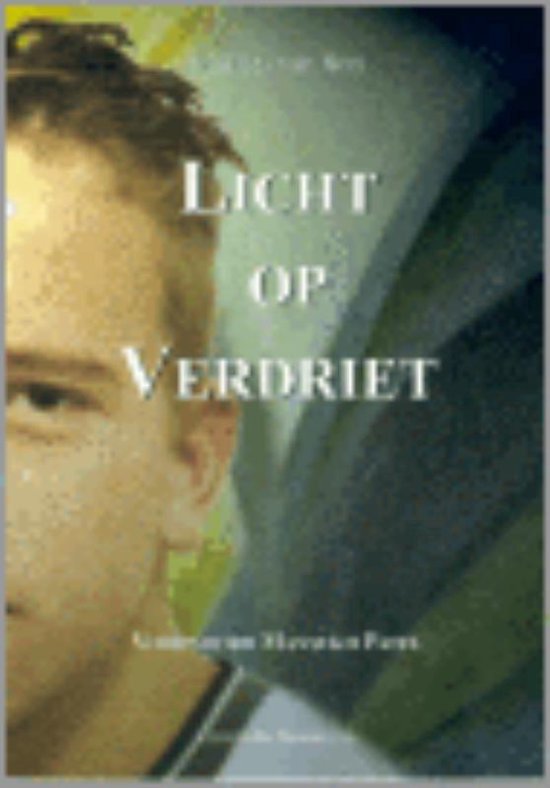 Cover van het boek 'Licht op Verdriet' van M. van Son