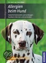 Allergien beim Hund