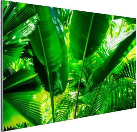 Wanddecoratie Metaal - Aluminium Schilderij Industrieel - Tropische bladeren in jungle fotoprint - 60x40 cm - Dibond - Foto op aluminium - Industriële muurdecoratie - Voor de woonkamer/slaapkamer