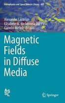 Magnetic Fields in Diffuse Media