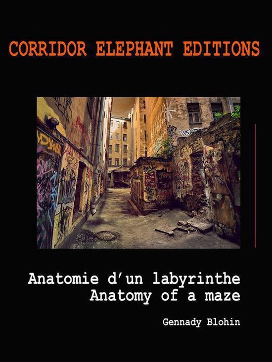 Art Pocket - Anatomie d'un labyrinthe - cover