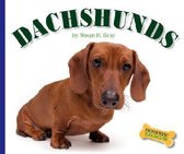 Domestic Dogs- Dachshunds