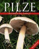 Das große Buch der Pilze