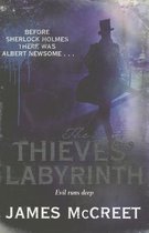 The Thieves' Labyrinth