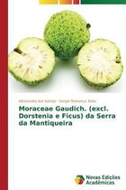 Moraceae Gaudich. (excl. Dorstenia e Ficus) da Serra da Mantiqueira