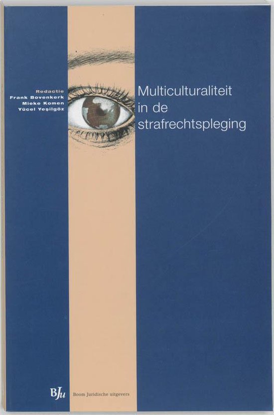 Multiculturaliteit in de strafrechtspleging