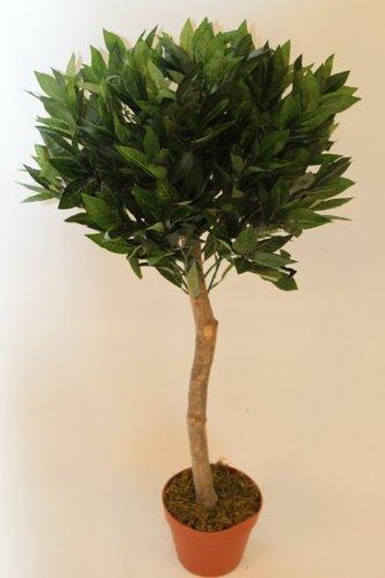 Kunstmatige planten - 0,9m laurierboom in pot | bol.com