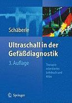 Ultraschall in Der Gefassdiagnostik