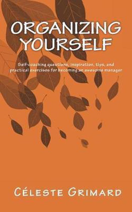 Managerial Competencies- Organizing Yourself - cover