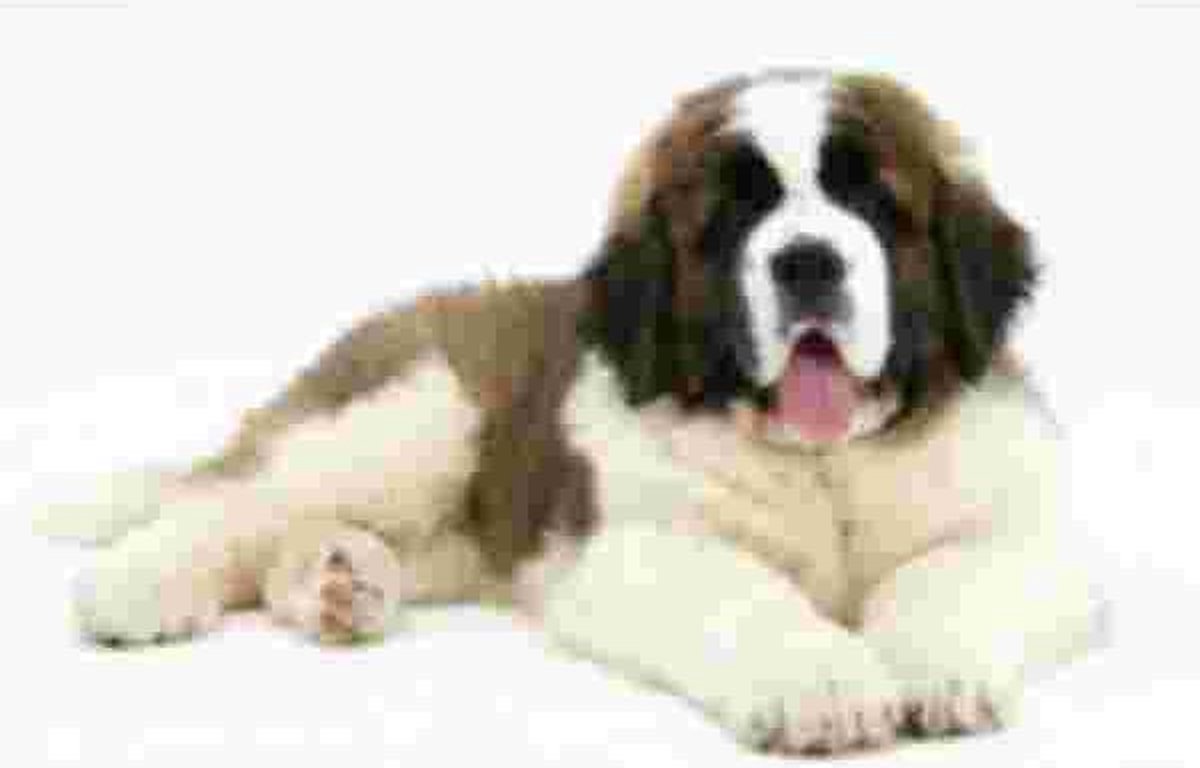 Sint Bernard Pup Muismat