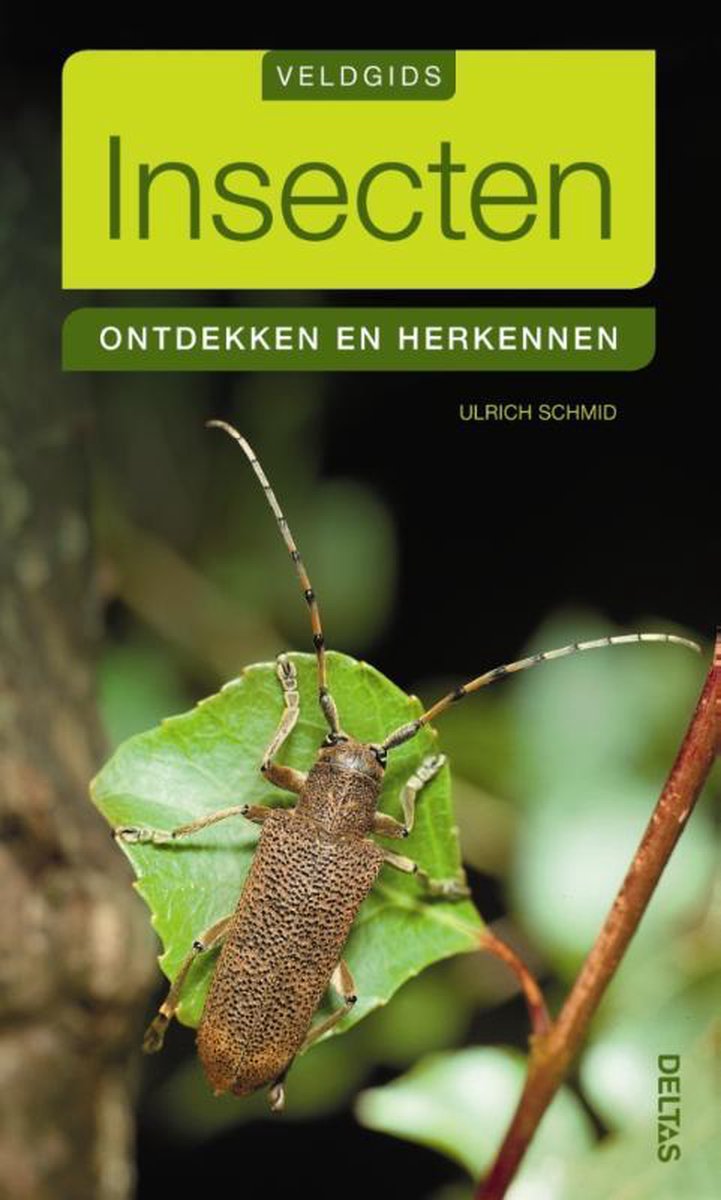 Veldgids - Insecten - Ulrich Schmid