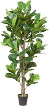 Kunstplant Ficus lyrata (190 cm)