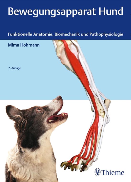 Bewegungsapparat Hund - cover