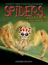 Spiders and other invertebrates
