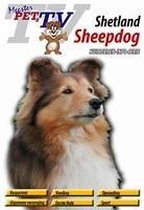 DVD Shetland Sheepdog