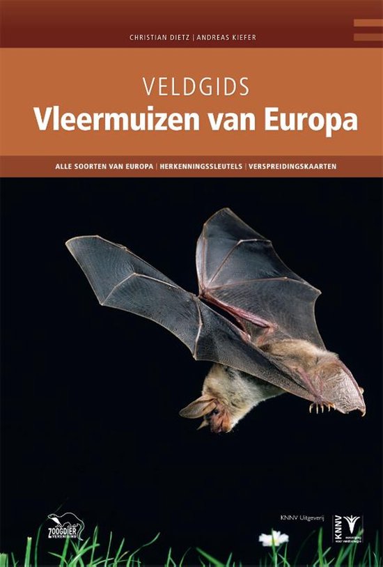 Omslag van Veldgids Vleermuizen van Europa