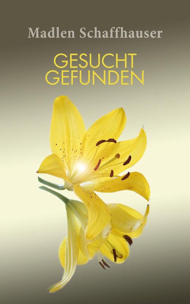 gesucht gefunden (ebook), Madlen Schaffhauser, 9783738023749, Boeken