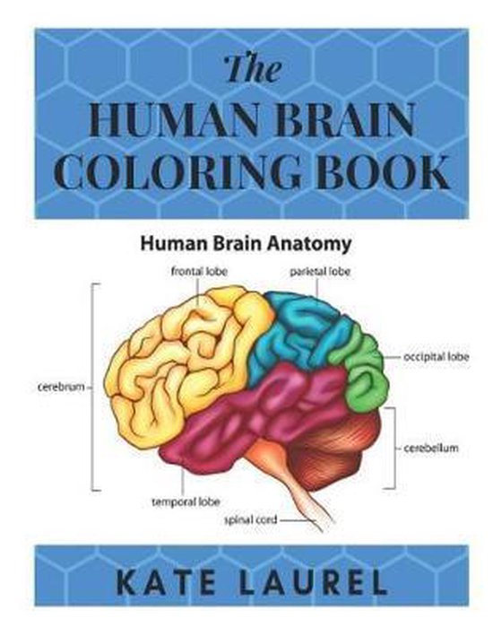 The Human Brain Coloring Book 9781096803768 Kate Laurel Boeken