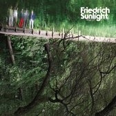 Friedrich Sunlight - Sunlight, Friedrich (CD)