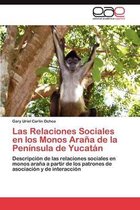 Las Relaciones Sociales En Los Monos Arana de La Peninsula de Yucatan