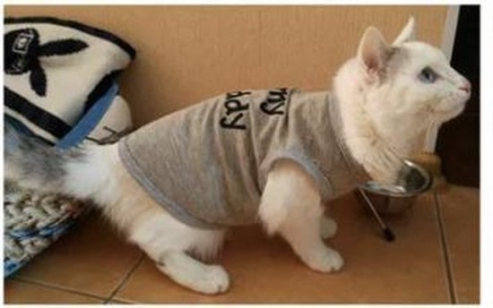 Honden katten shirt jas dieren hondenkleding kattenkleding I Love My Daddy  | bol.com