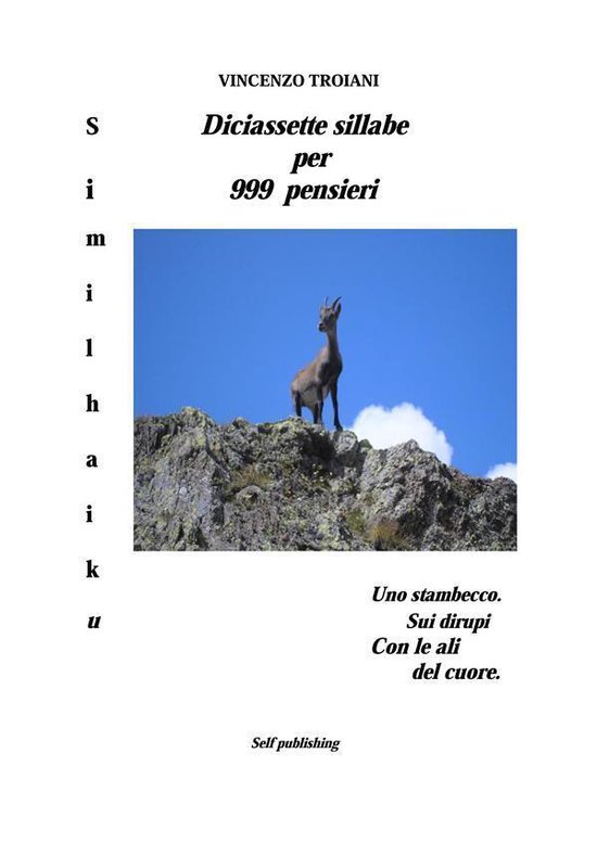 Diciassette sillabe per 999 pensieri - cover