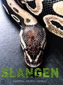 Slangen /soorten, feiten, gedrag
