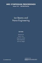 Ion Beams and Nano-Engineering
