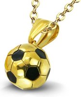 Amanto Ketting Anjay G - 316L Staal - Sport - Voetbal - ∅13mm - 50cm