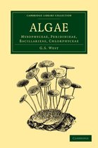 Cambridge Library Collection - Botany and Horticulture- Algae: Volume 1, Myxophyceae, Peridinieae, Bacillarieae, Chlorphyceae