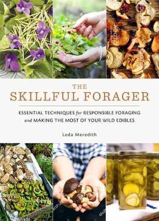 Skillful Forager - cover