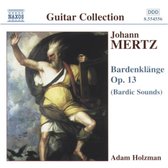 Adam Holzman - Bardenklange (Bardic Sounds) (CD)