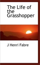 The Life of the Grasshopper