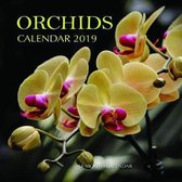 Orchids Calendar 2019