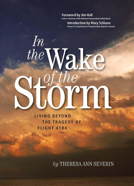 In the Wake of the Storm: Living Beyond the Tragedy of Ameri ... - cover