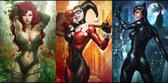 Poison Ivy, Harley Quinn en Catwoman Batman - Wandsticker Poster 75 x 50 cm