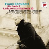 Schubert: Symphonies Nos. 1 & 10 (Fragment)