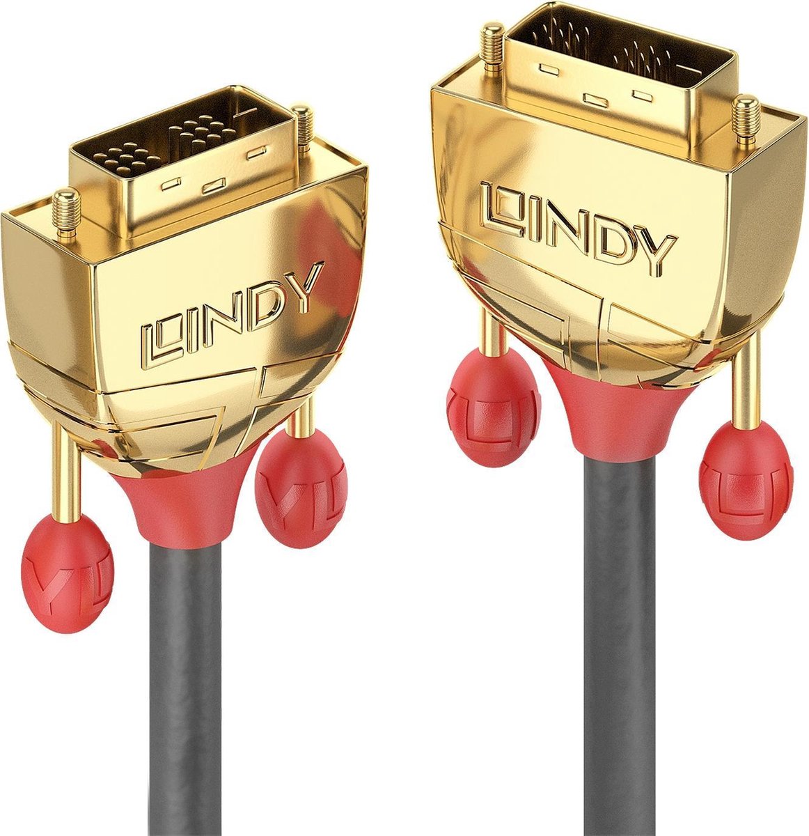 Lindy 36216 15m DVI-D DVI-D Goud DVI kabel