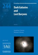 Dark Galaxies and Lost Baryons (IAU S244)