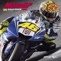 MotoGP Season Review 2008