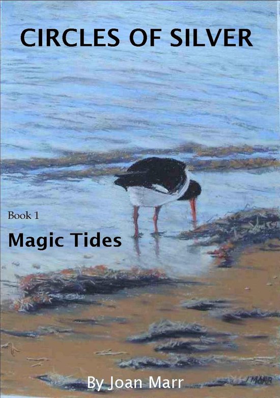 Omslag van Magic Tides