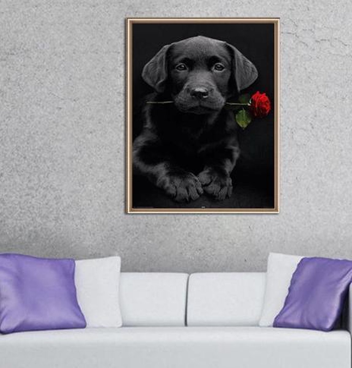 Diamond Painting Labrador 30x40