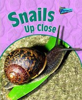 Snails Up Close