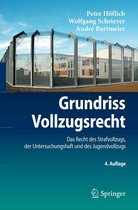 Springer-Lehrbuch - Grundriss Vollzugsrecht